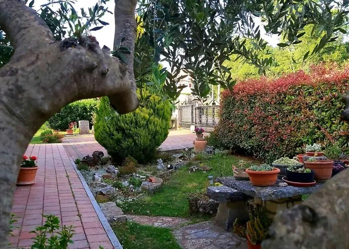 Oasis 1 Apartament