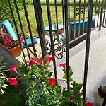 Oasis 1